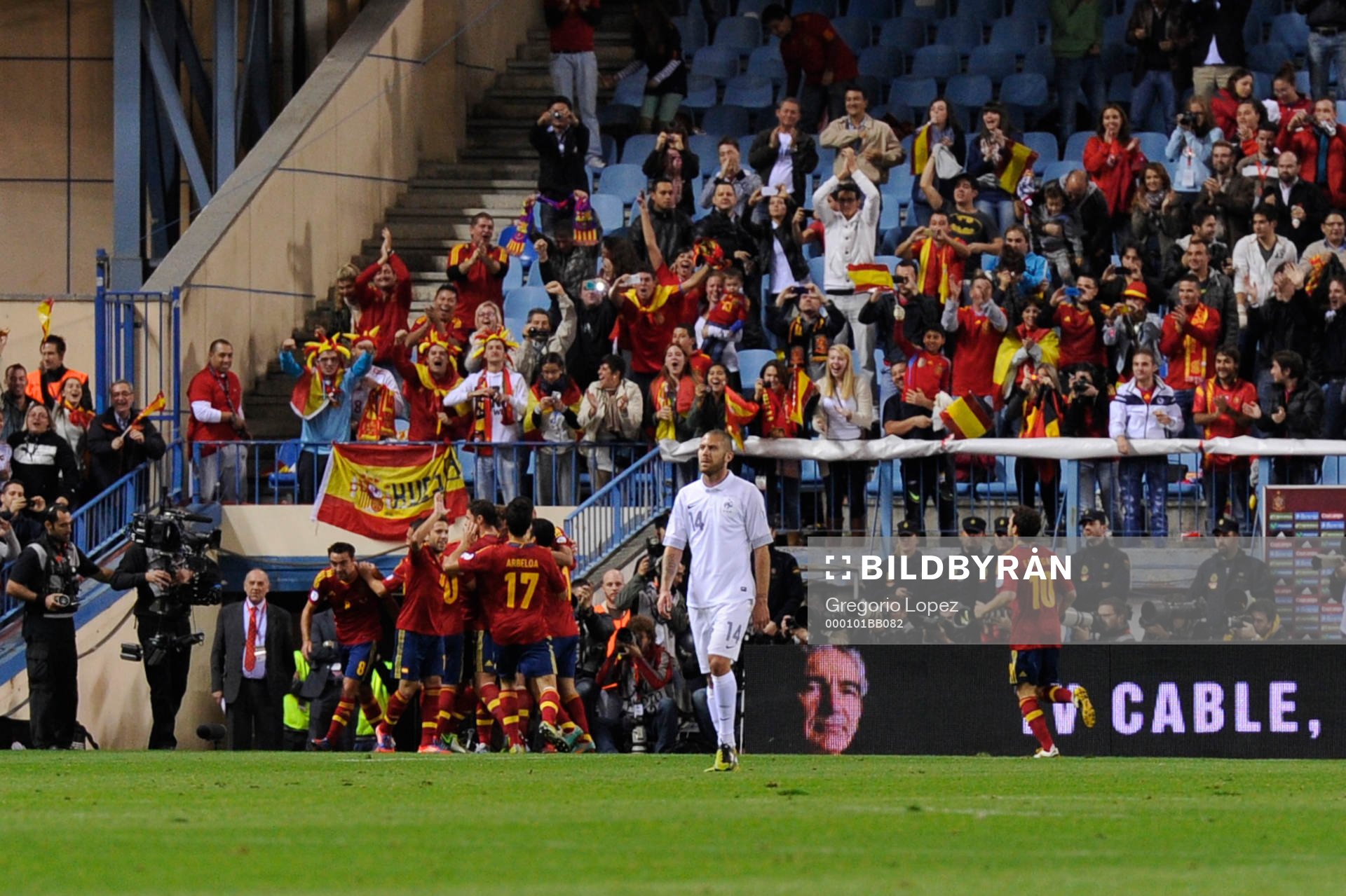 Celebrating Spain's 1-0 at the Vicente Calderon stadium in