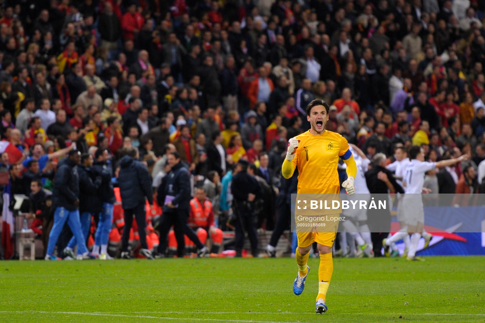 Lloris celebrates the 1-1 in the 90th minute in the Vicente