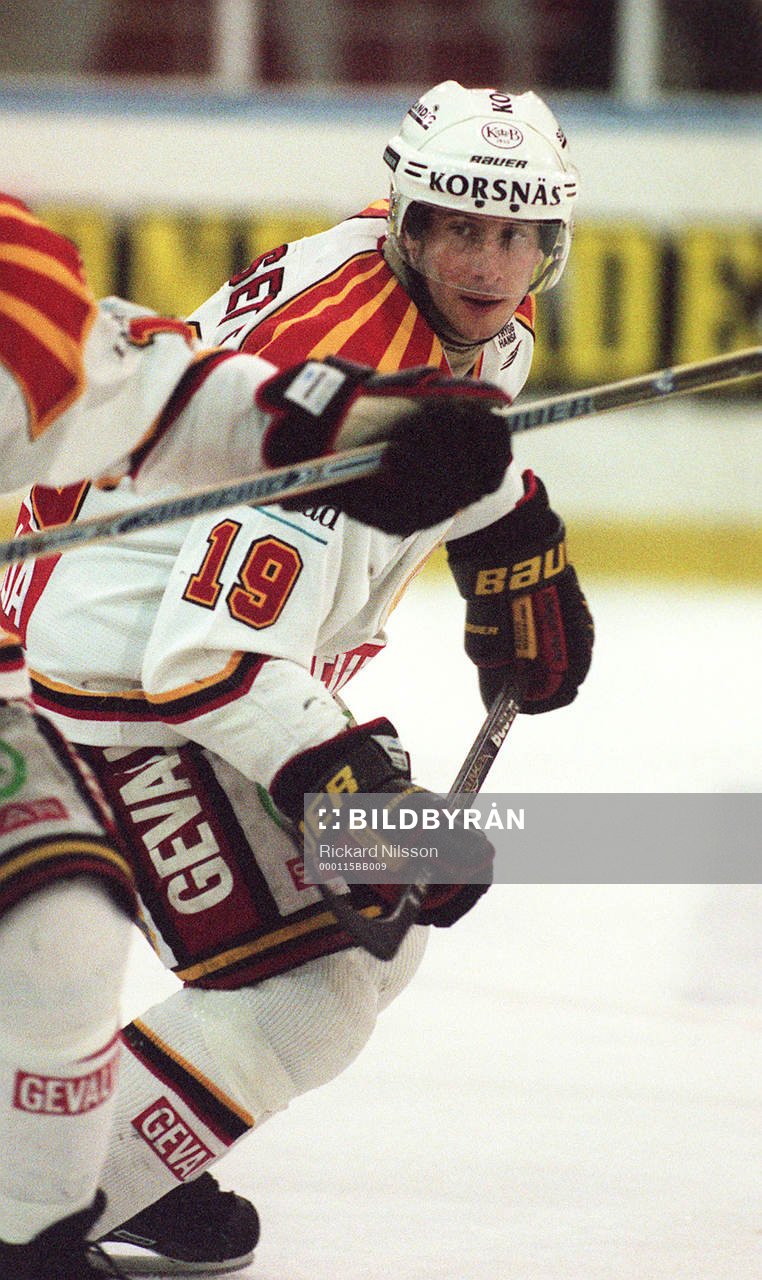 Tom Bissett, Brynäs