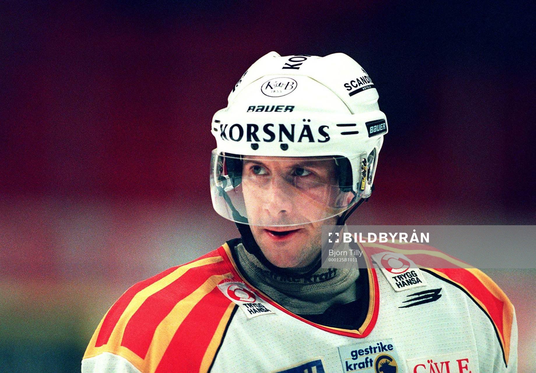 Tom Bissett, Brynäs