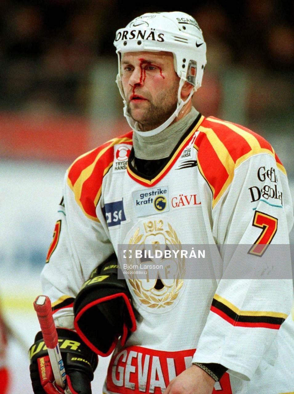 Tommy Sjödin, Brynäs