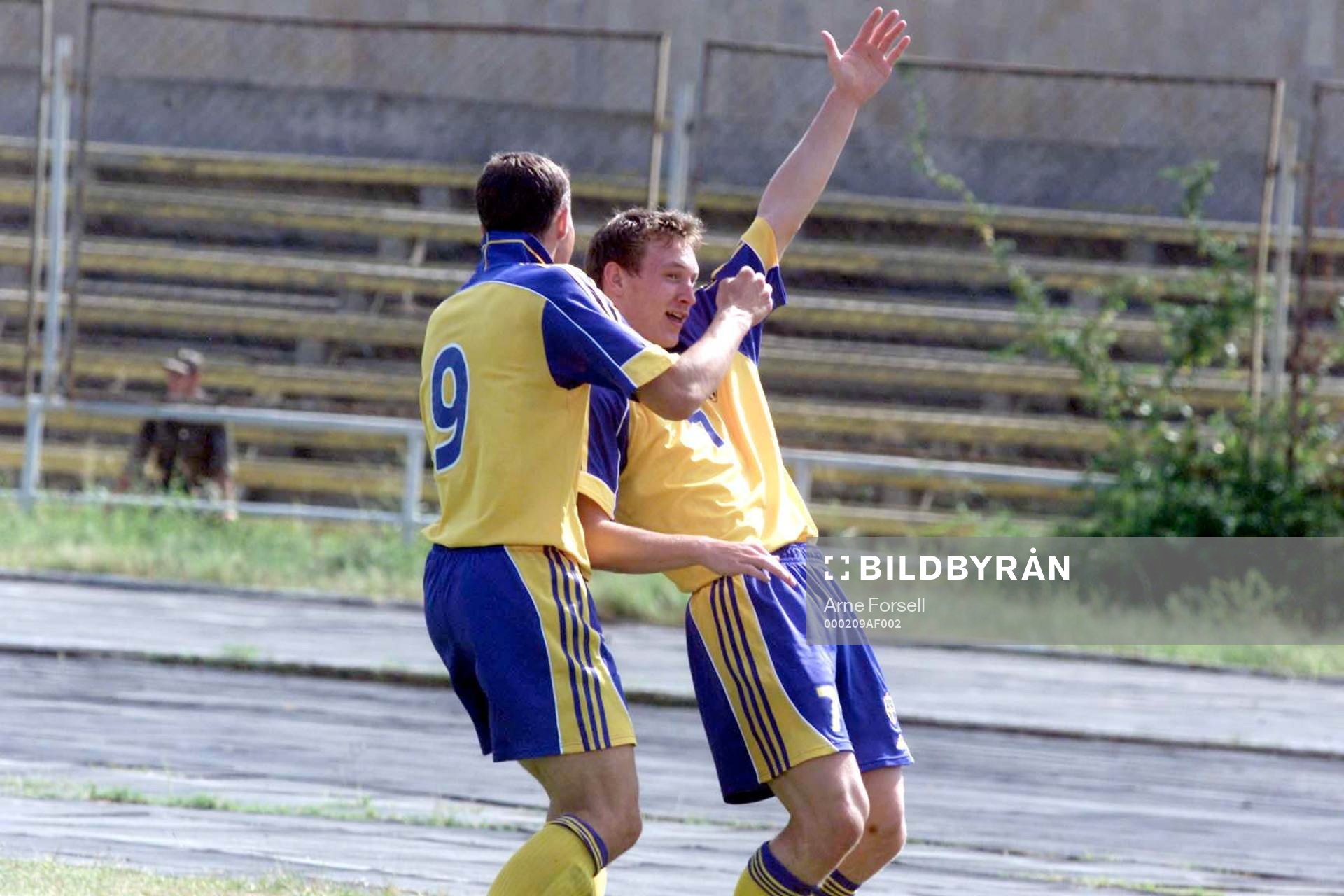 Kim Källström och Johan Elmander, Sverige jubel