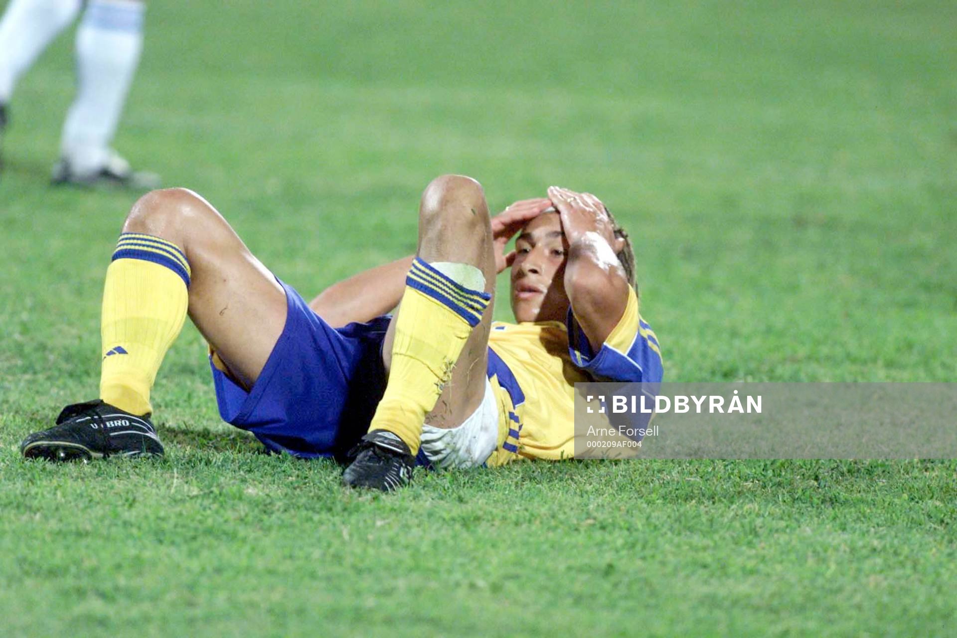 Henrik Larsson, Sverige