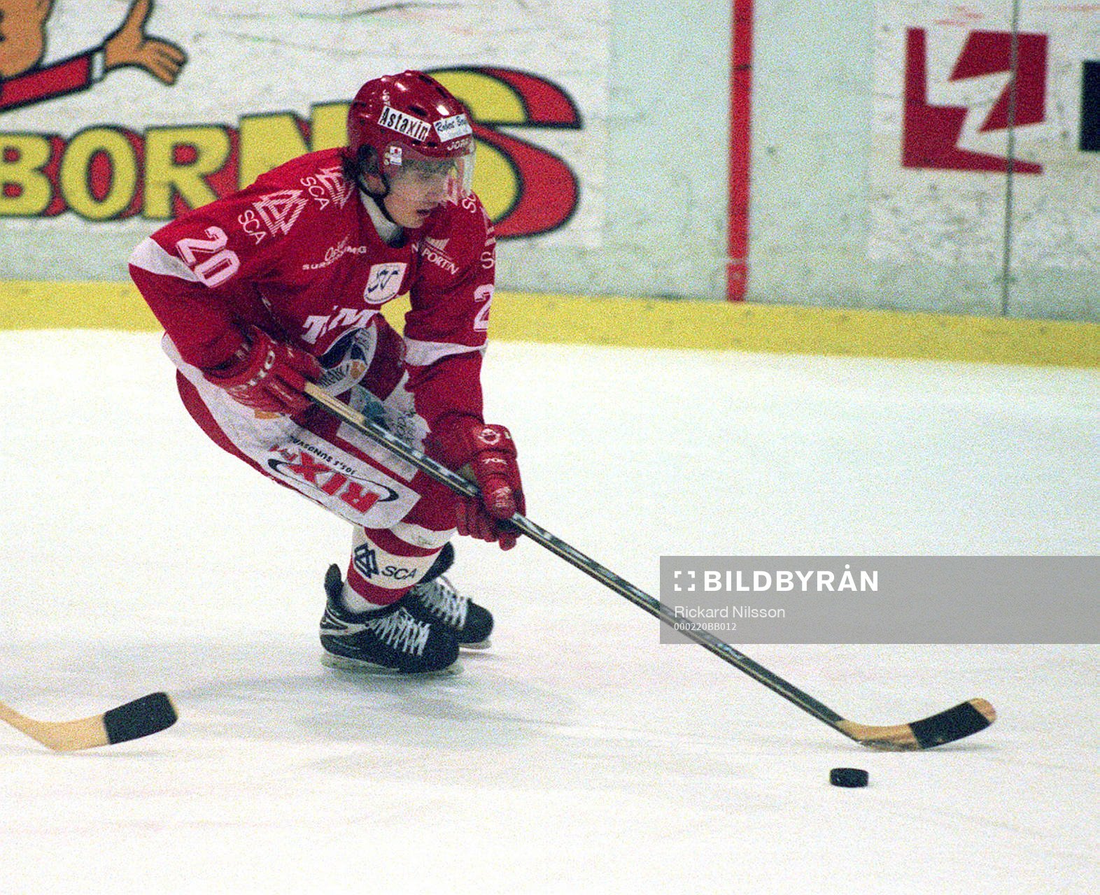 Henrik Zetterberg, Timrå
