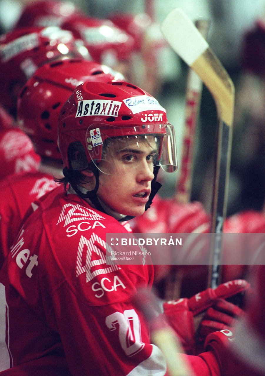 Henrik Zetterberg, Timrå