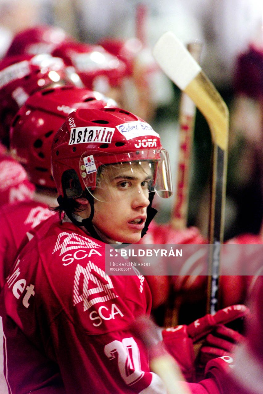 Henrik Zetterberg, Timrå