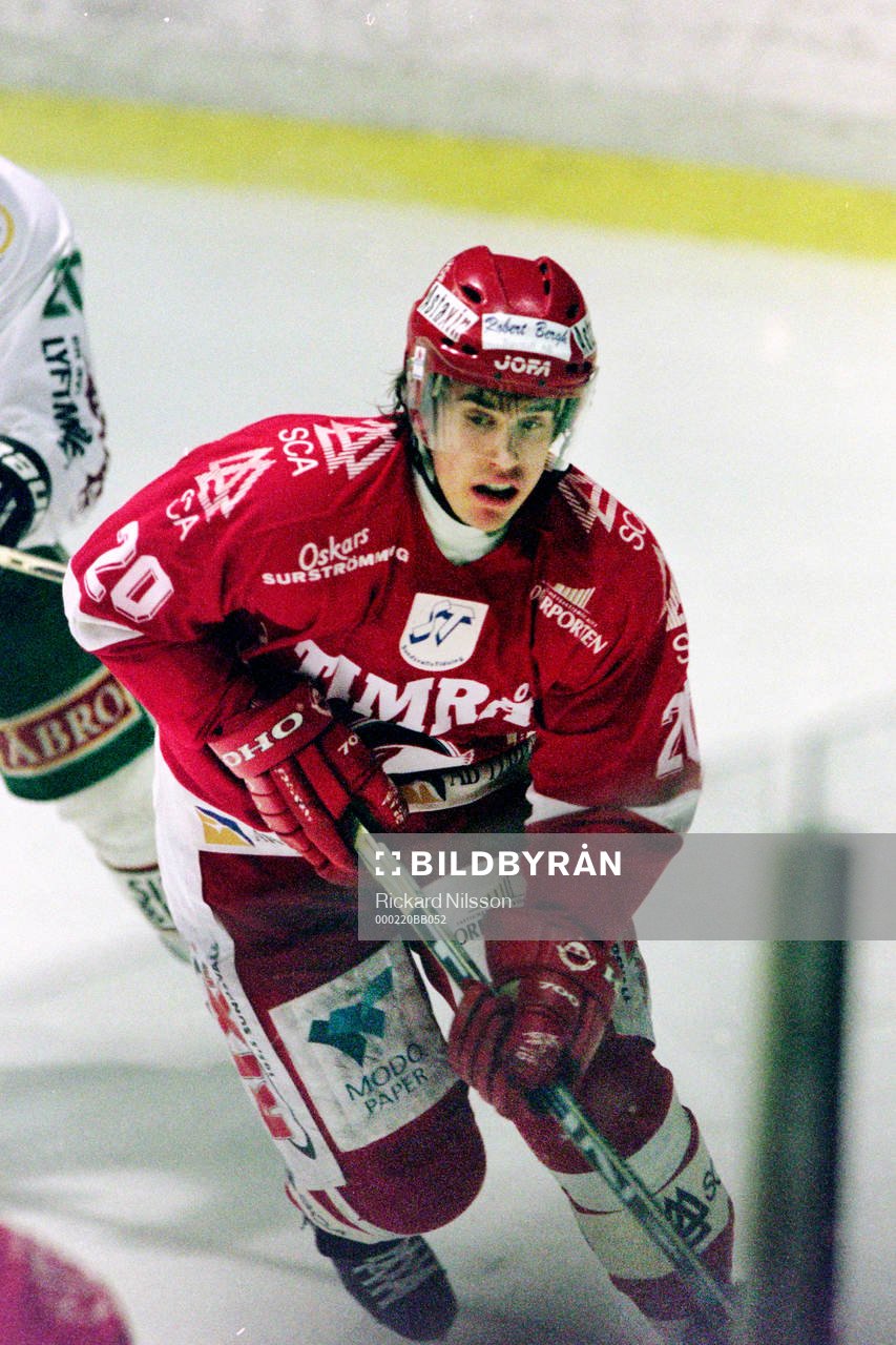 Henrik Zetterberg, Timrå