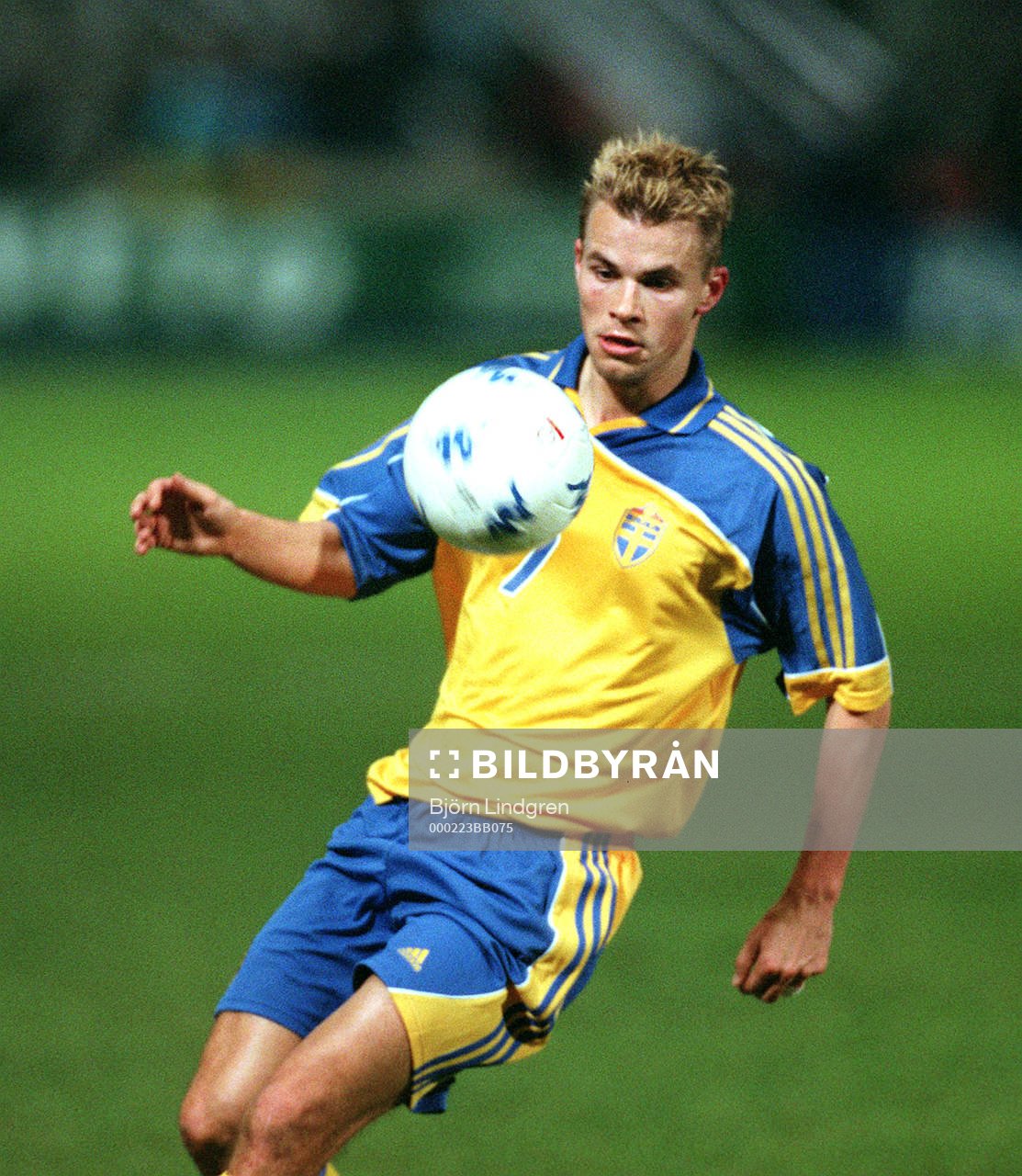 Niclas Alexandersson, Sverige