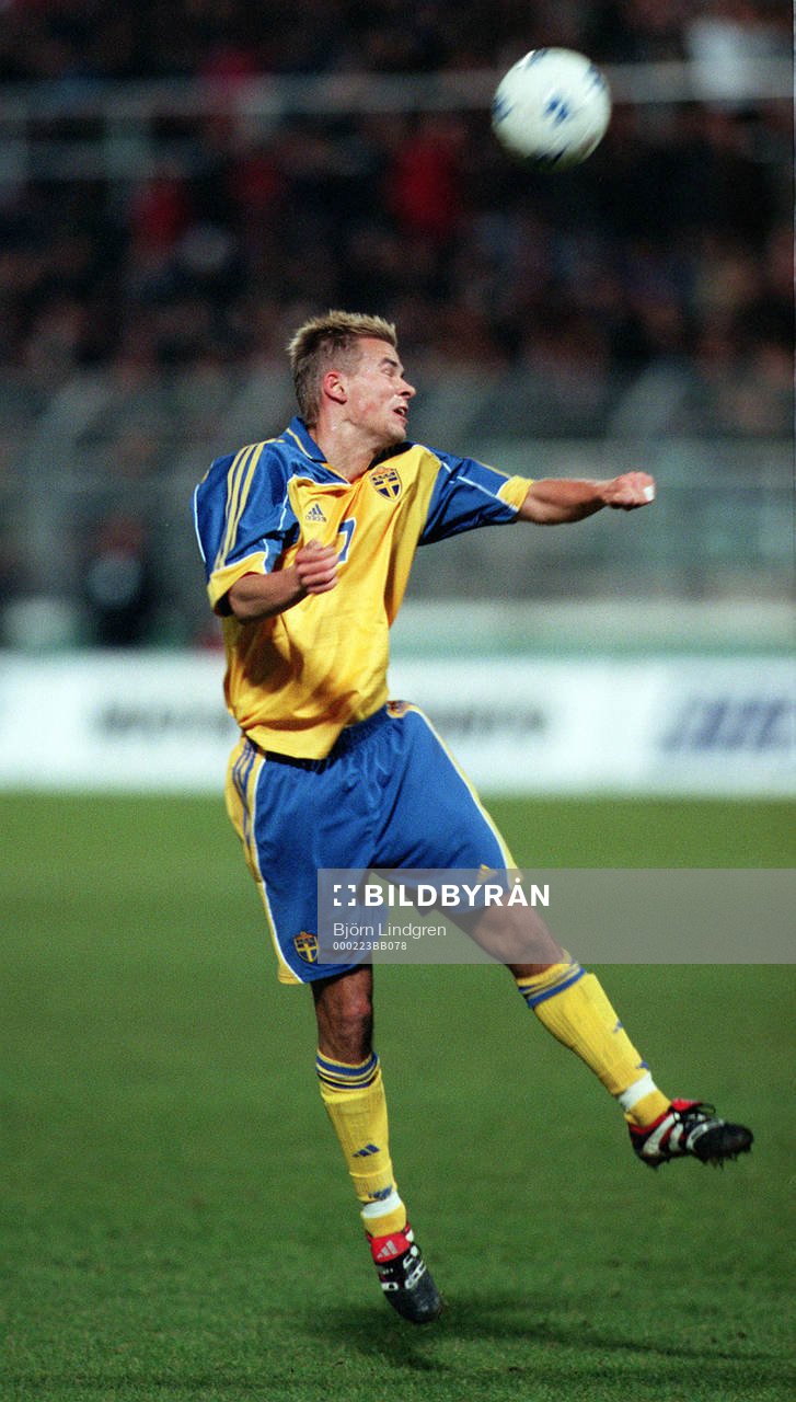 Niclas Alexandersson, Sverige