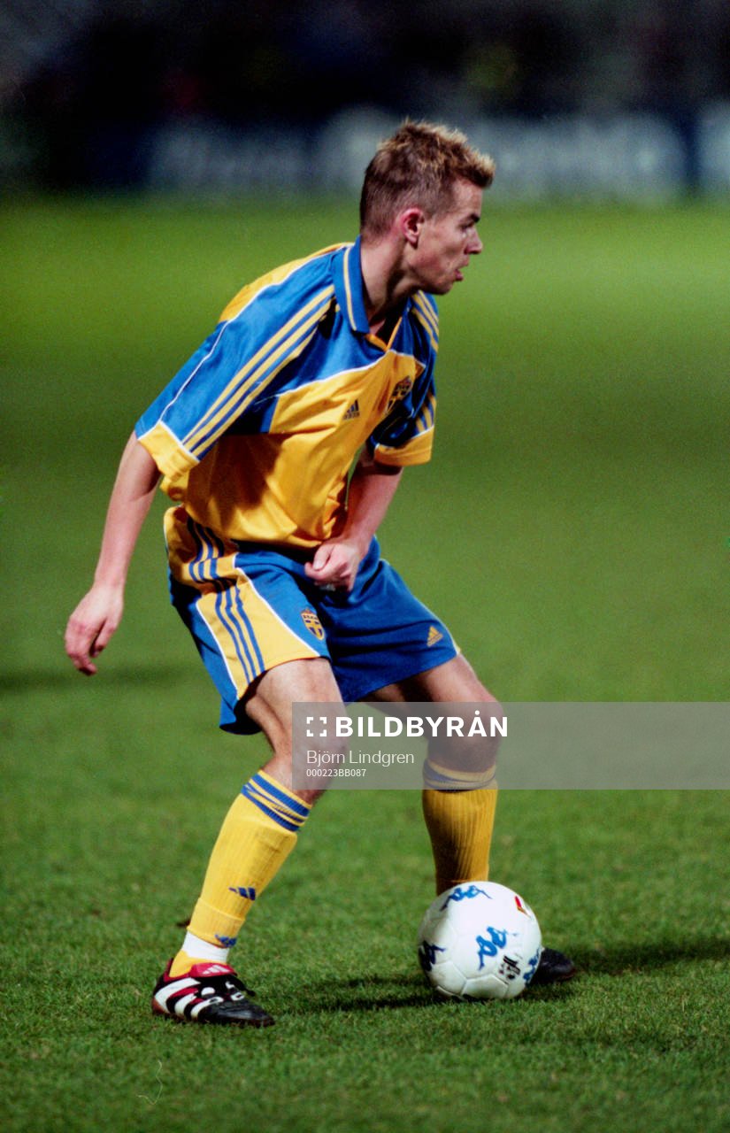 Niclas Alexandersson, Sverige