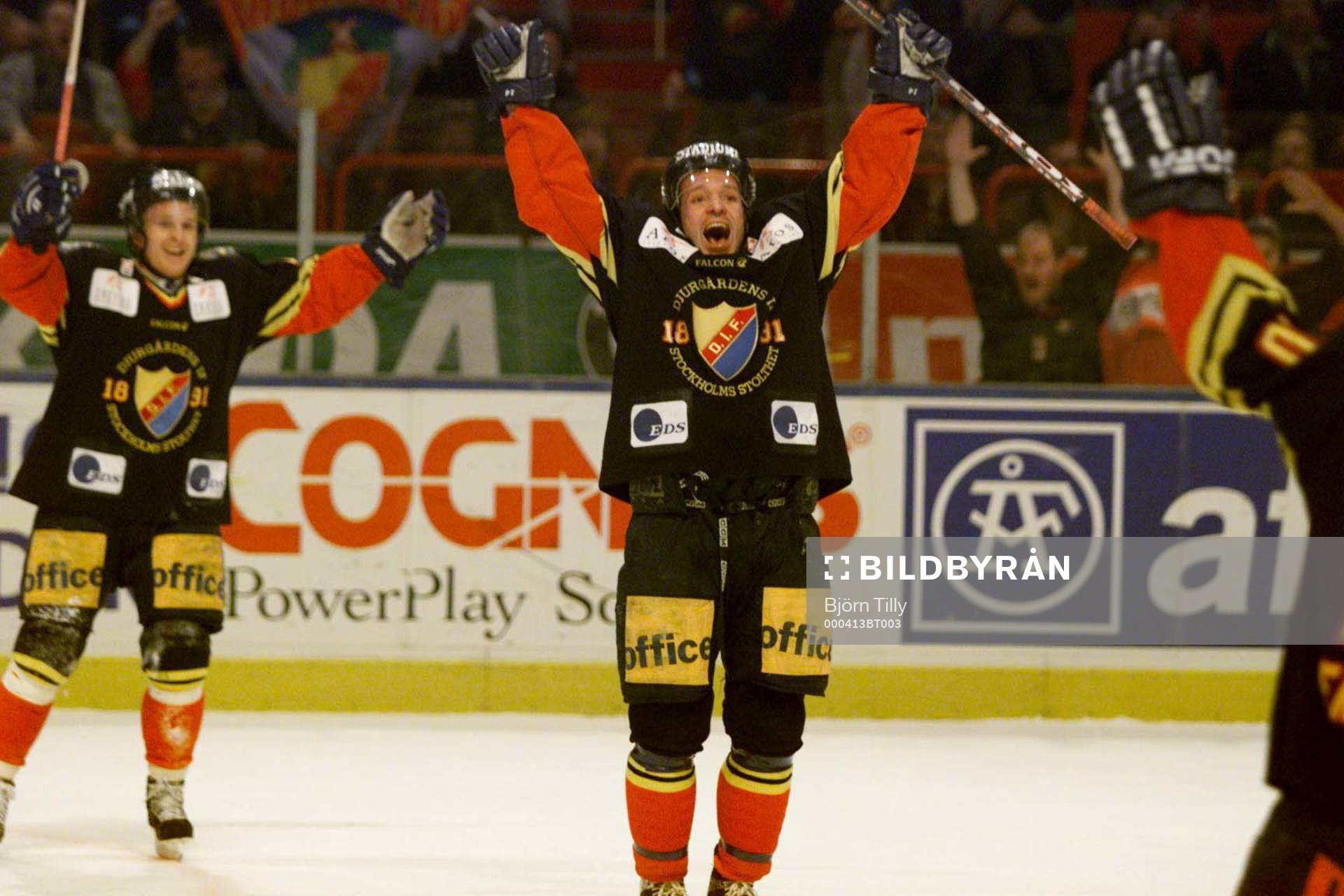 Mikael Magnusson, Djurgården jublar