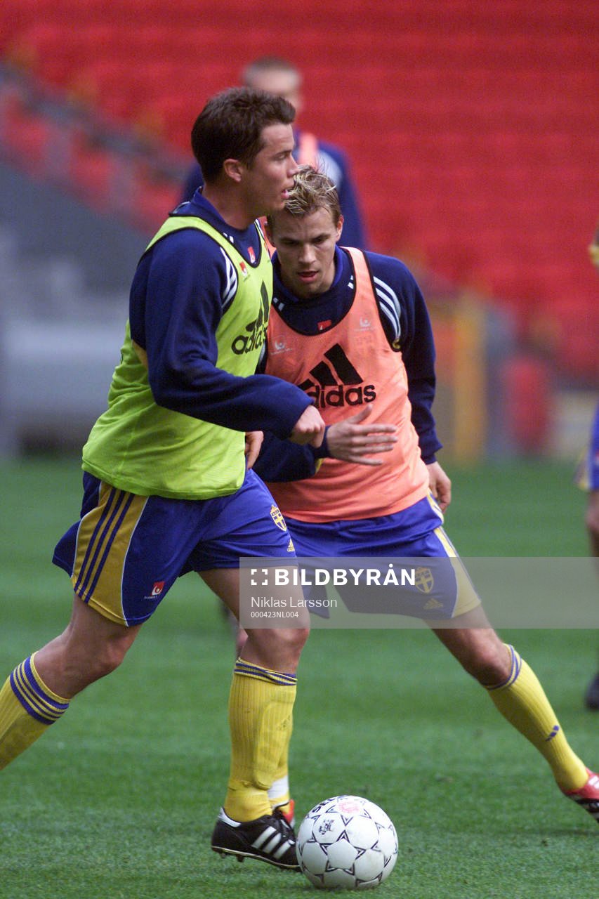 Niclas Alexandersson och Daniel Andersson, Sverige