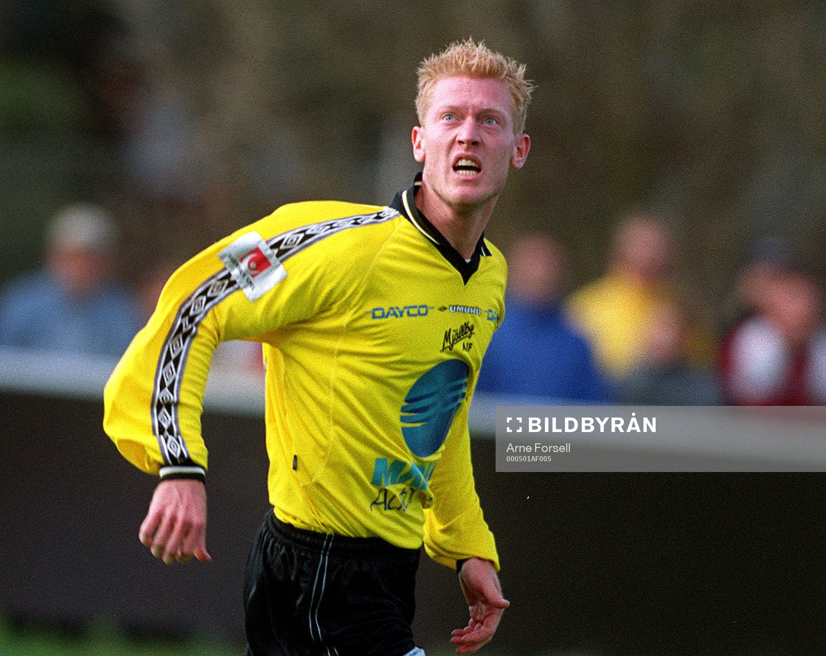 Linus Isberg