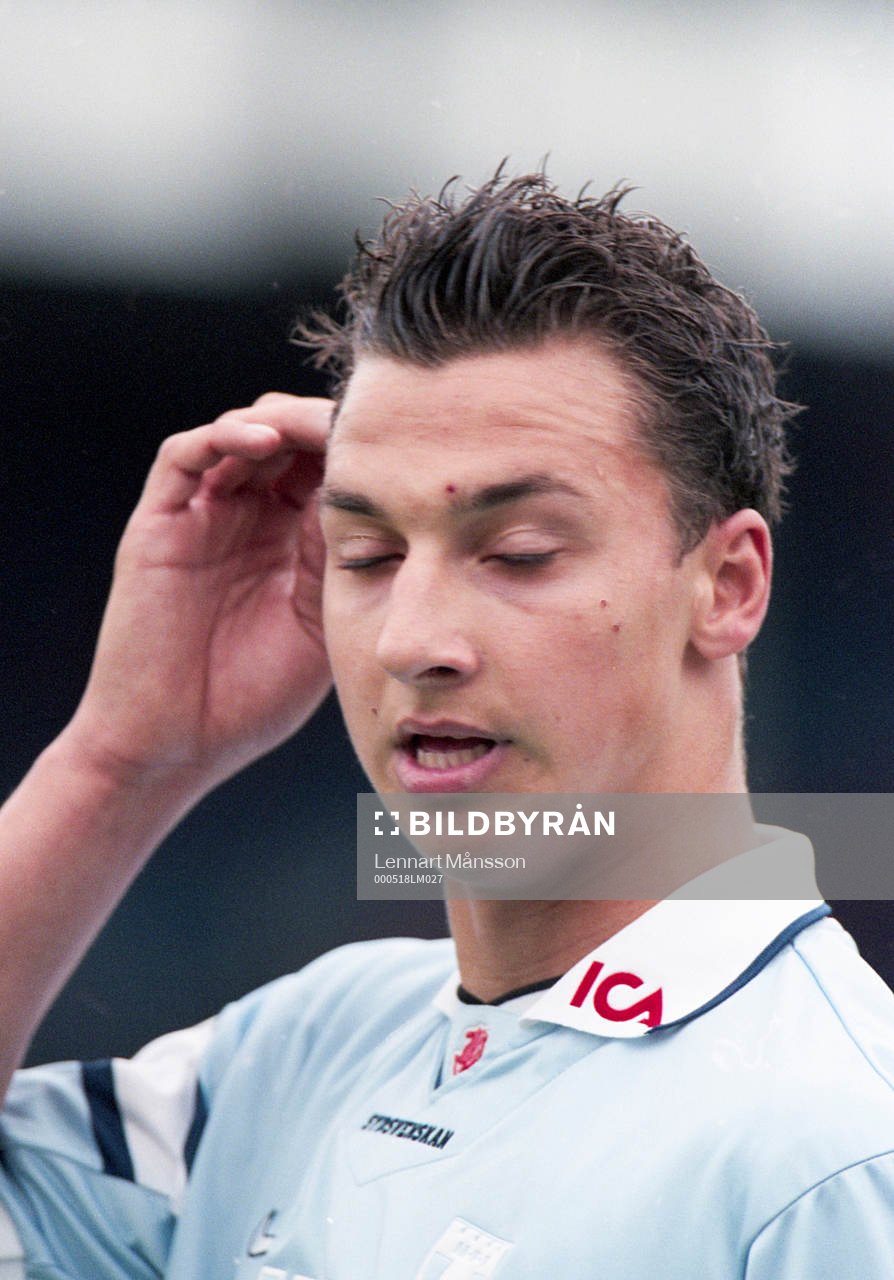 Zlatan Ibrahimovic, Malmö