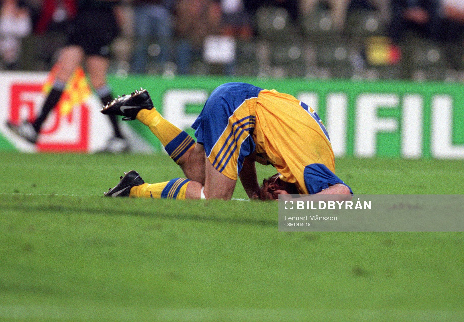 Fredrik Ljungberg, Sverige