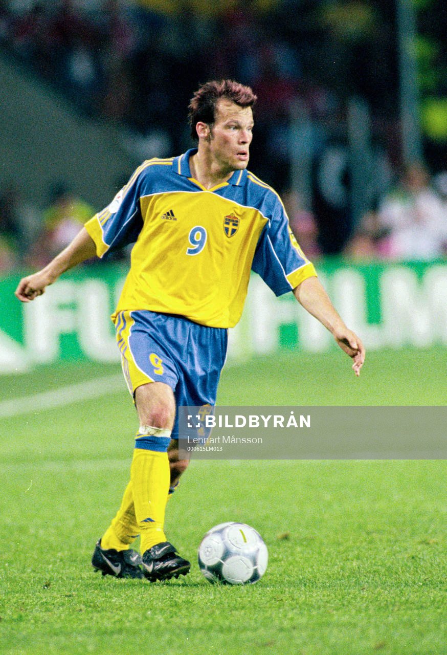 Fredrik Ljungberg, Sverige
