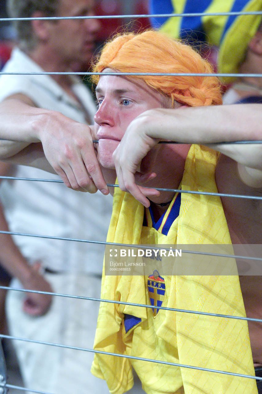 Supporter Sverige deppar (depp)