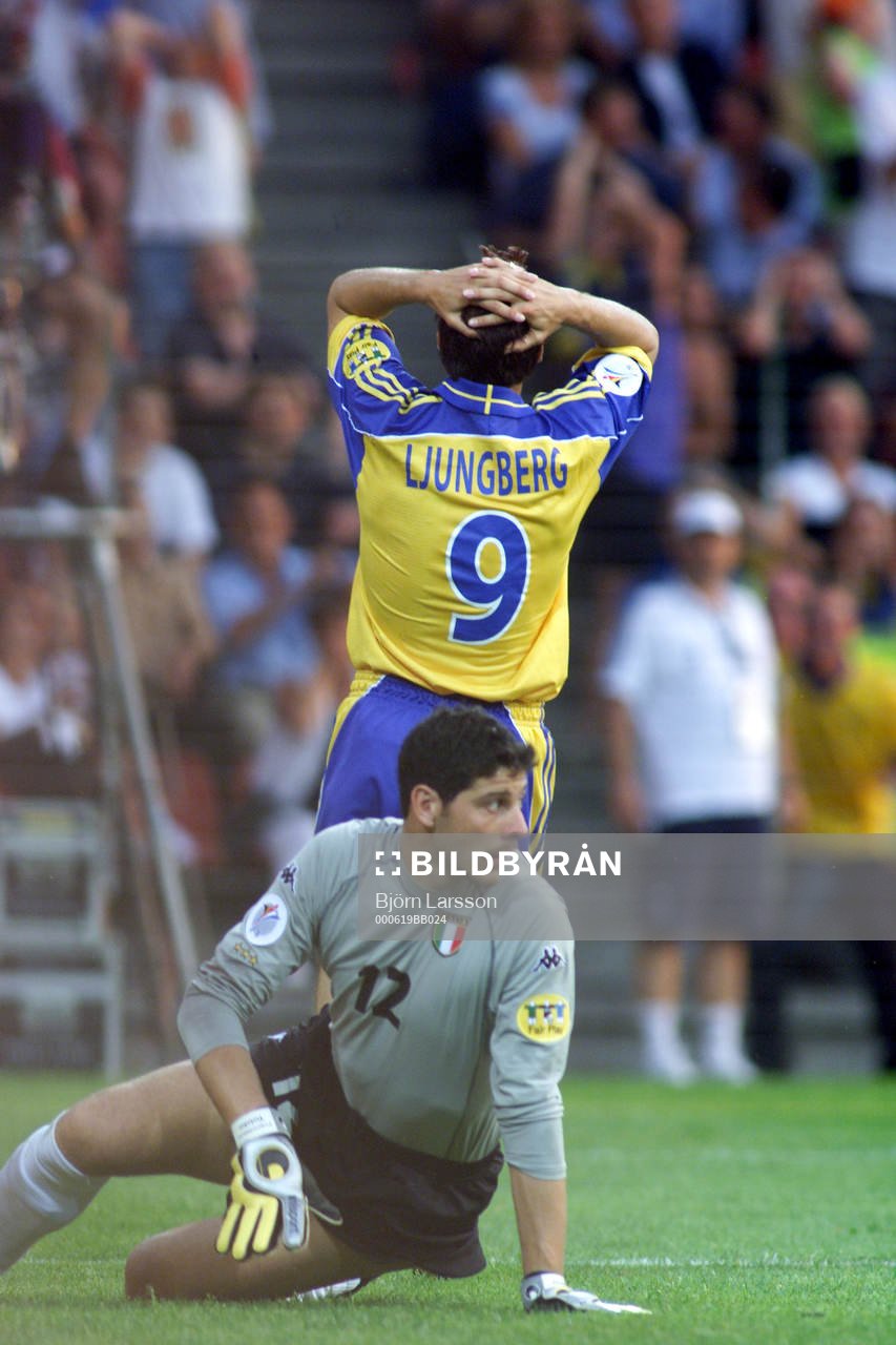 Fredrik Ljungberg, Sverige deppar (depp) och Francesco