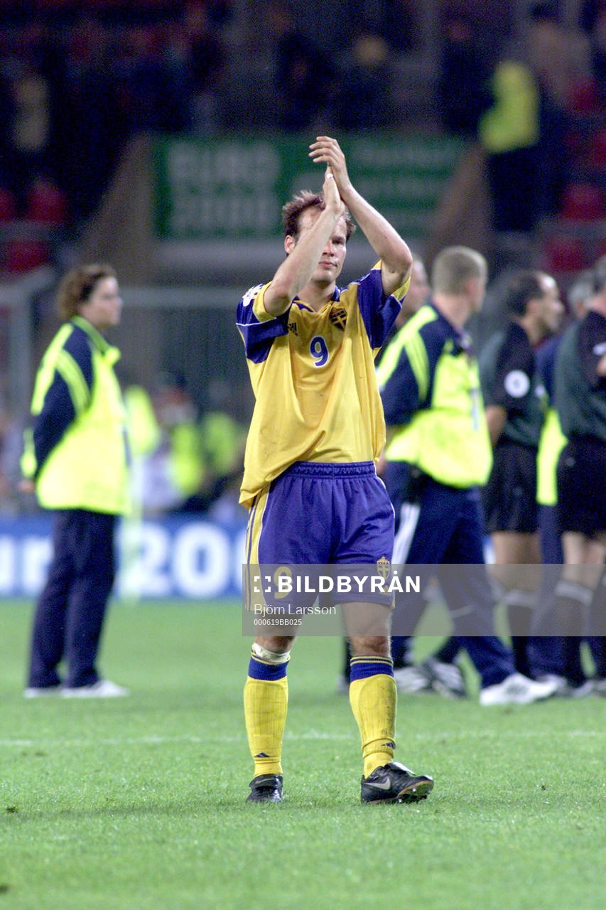 Fredrik Ljungberg, Sverige