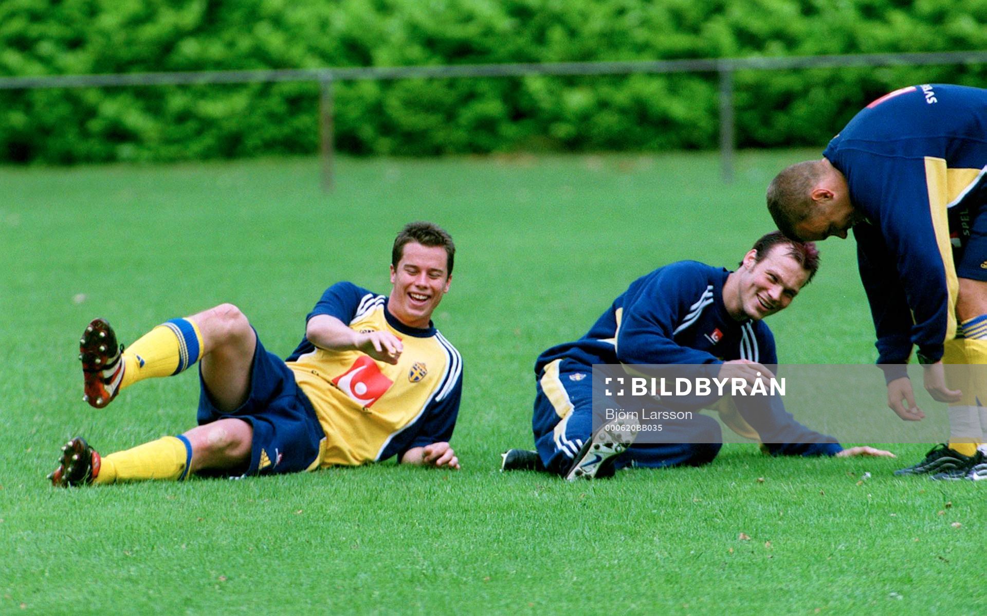Daniel Andersson och Fredrik Ljungberg, Sverige
