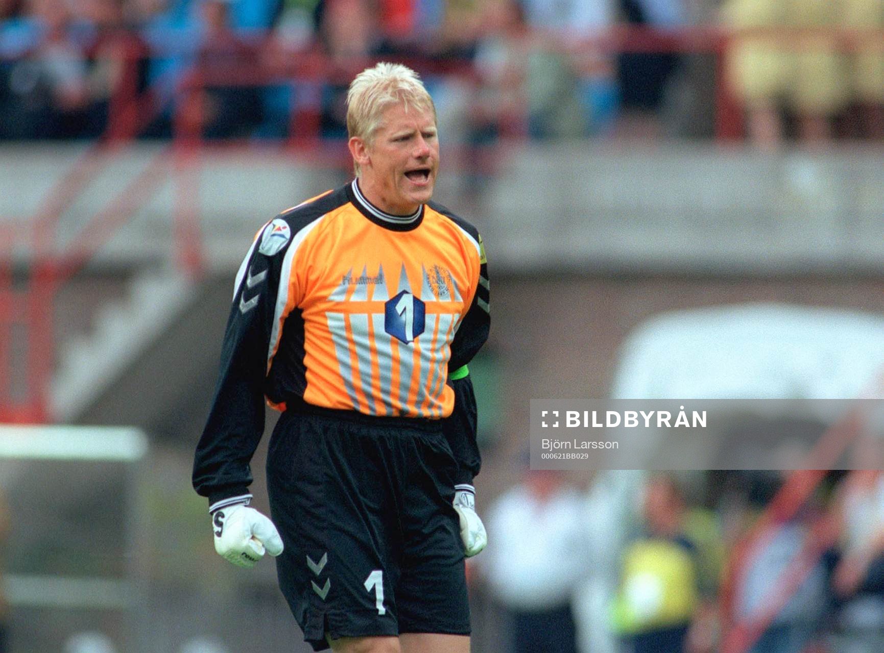 Peter Schmeichel, Danmark