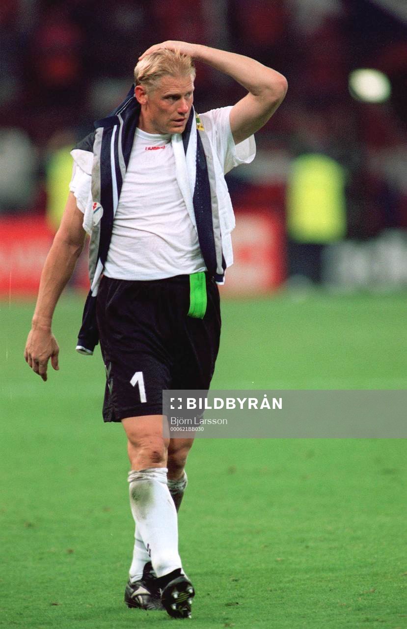 Peter Schmeichel, Danmark