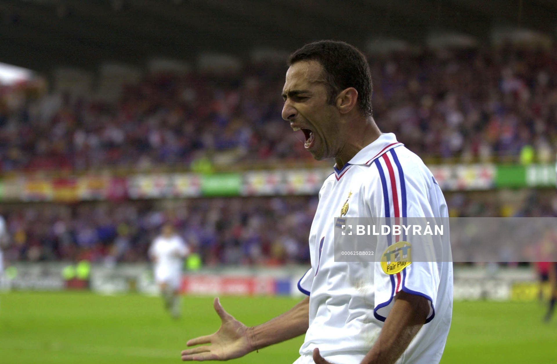  Youri Djorkaeff, Frankrike jublar
