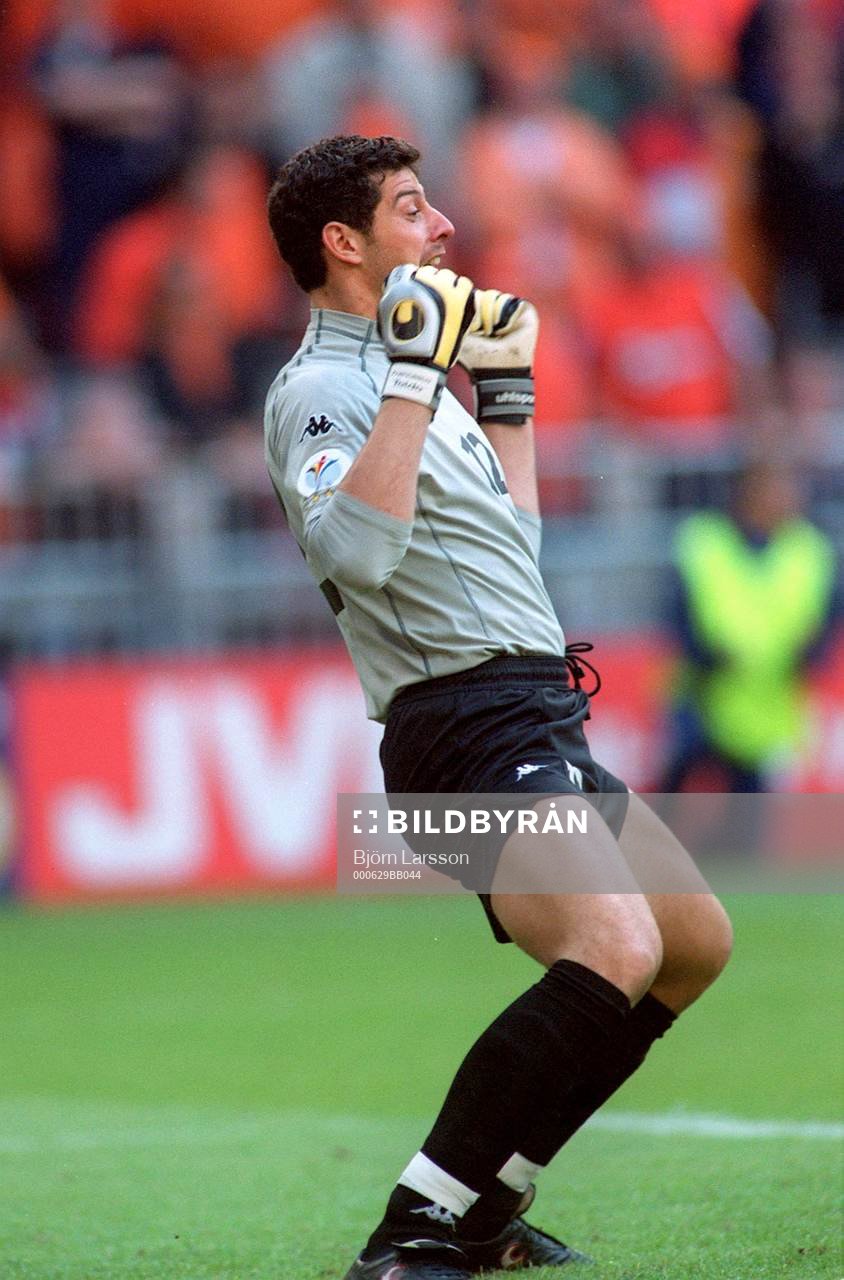 Francesco Toldo, Italien