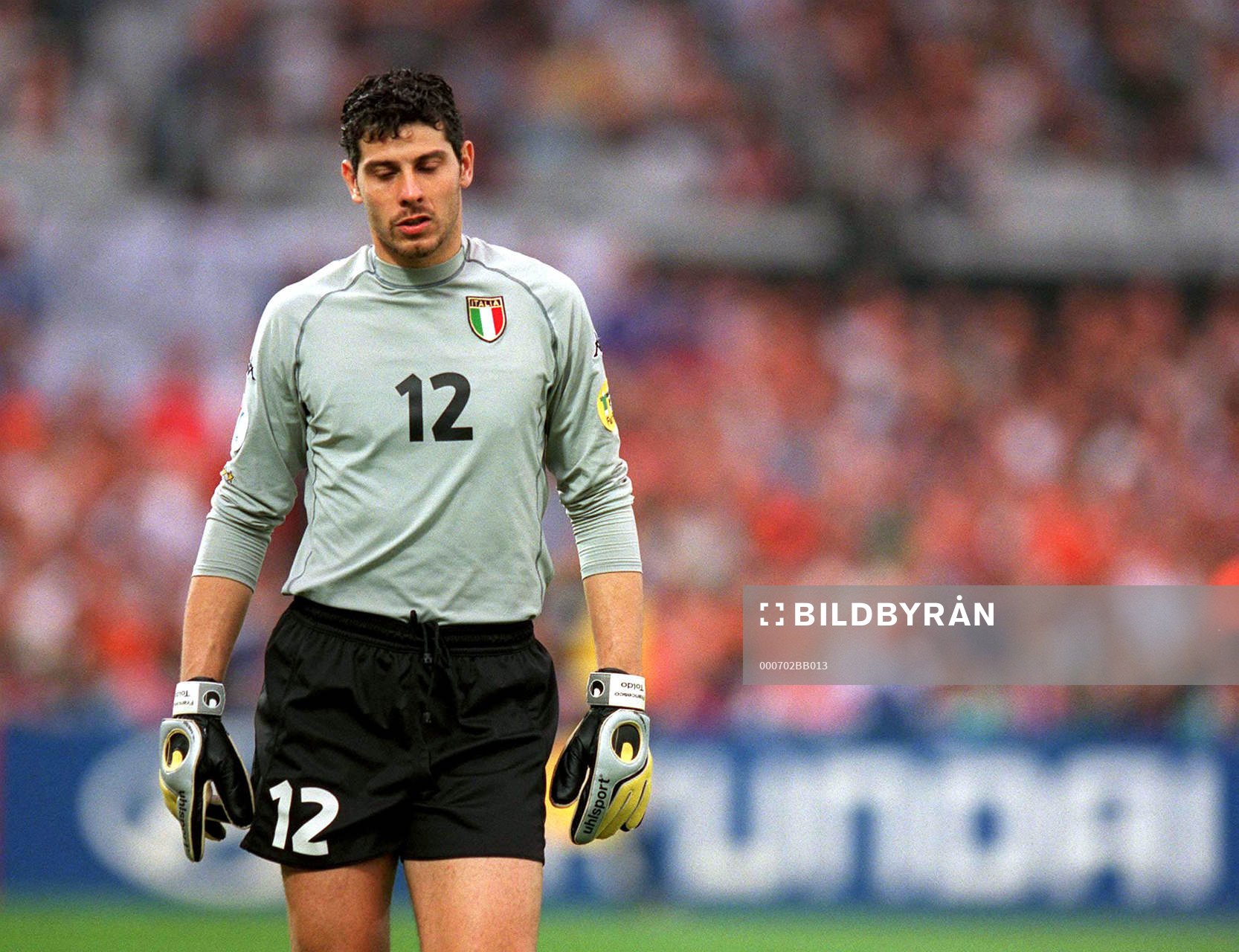Francesco Toldo, Italien deppar