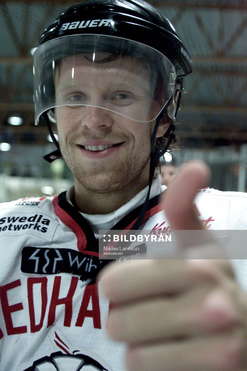 David Petrasek, Malmö