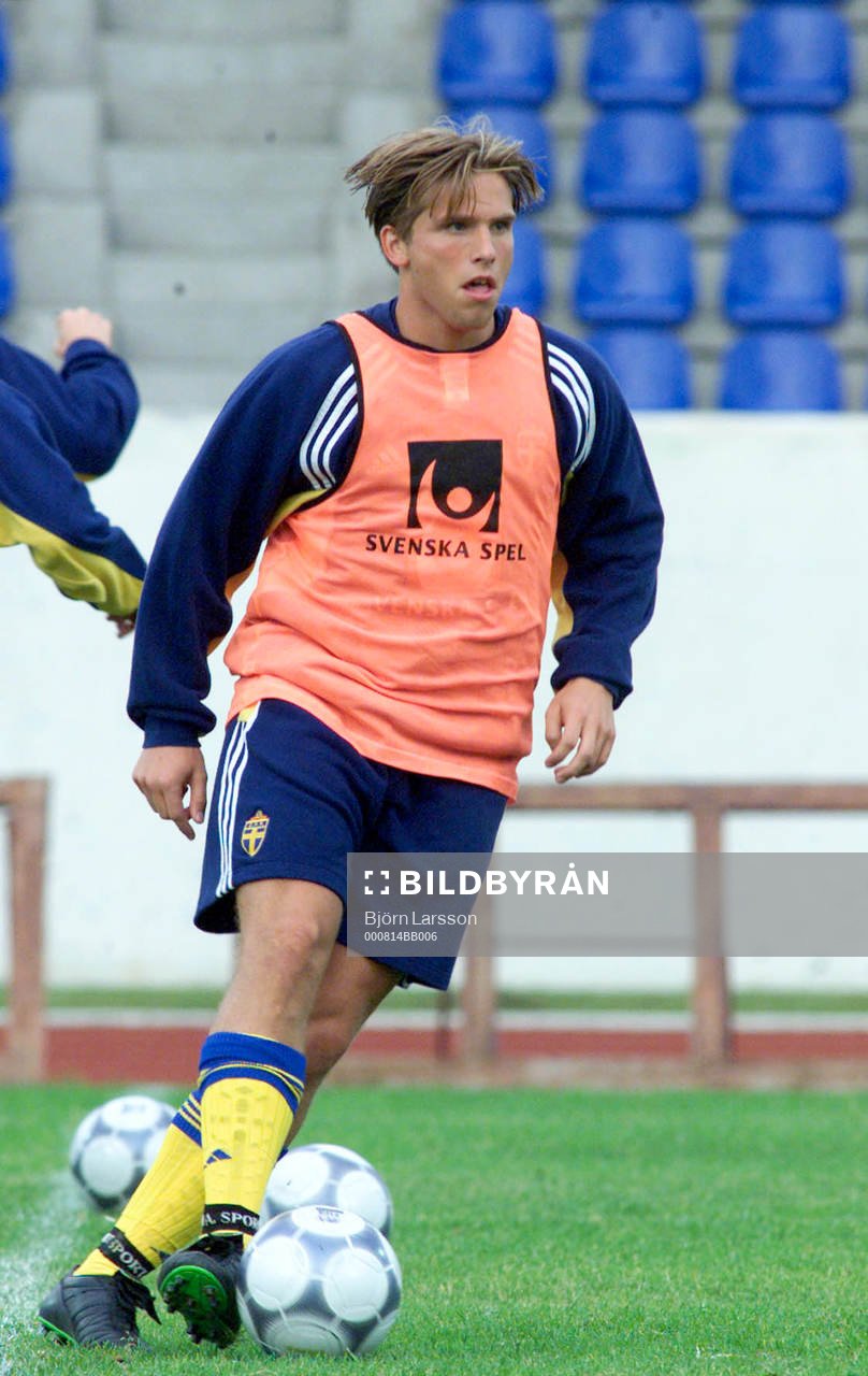 Anders Svensson, Sverige