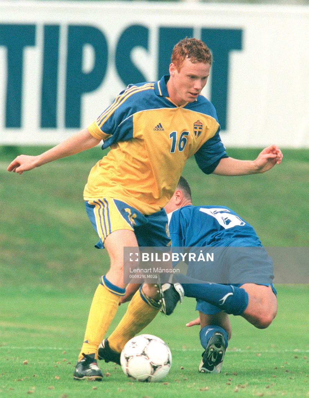 Alexander Farnerud, Sverige (Landskrona)