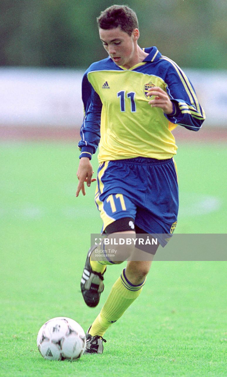 Alexander Malmström, Sverige