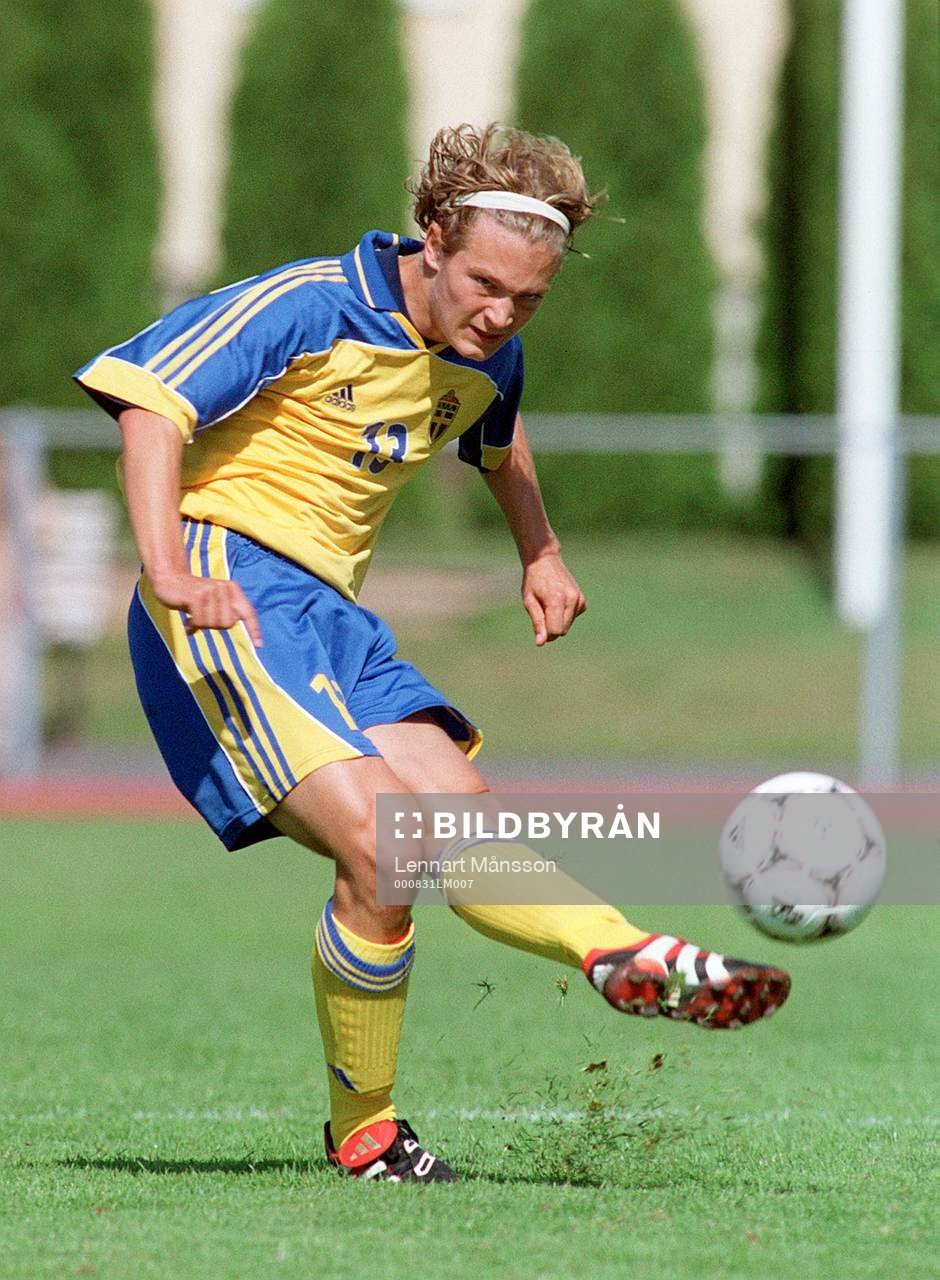 William Leandersson, Sverige
