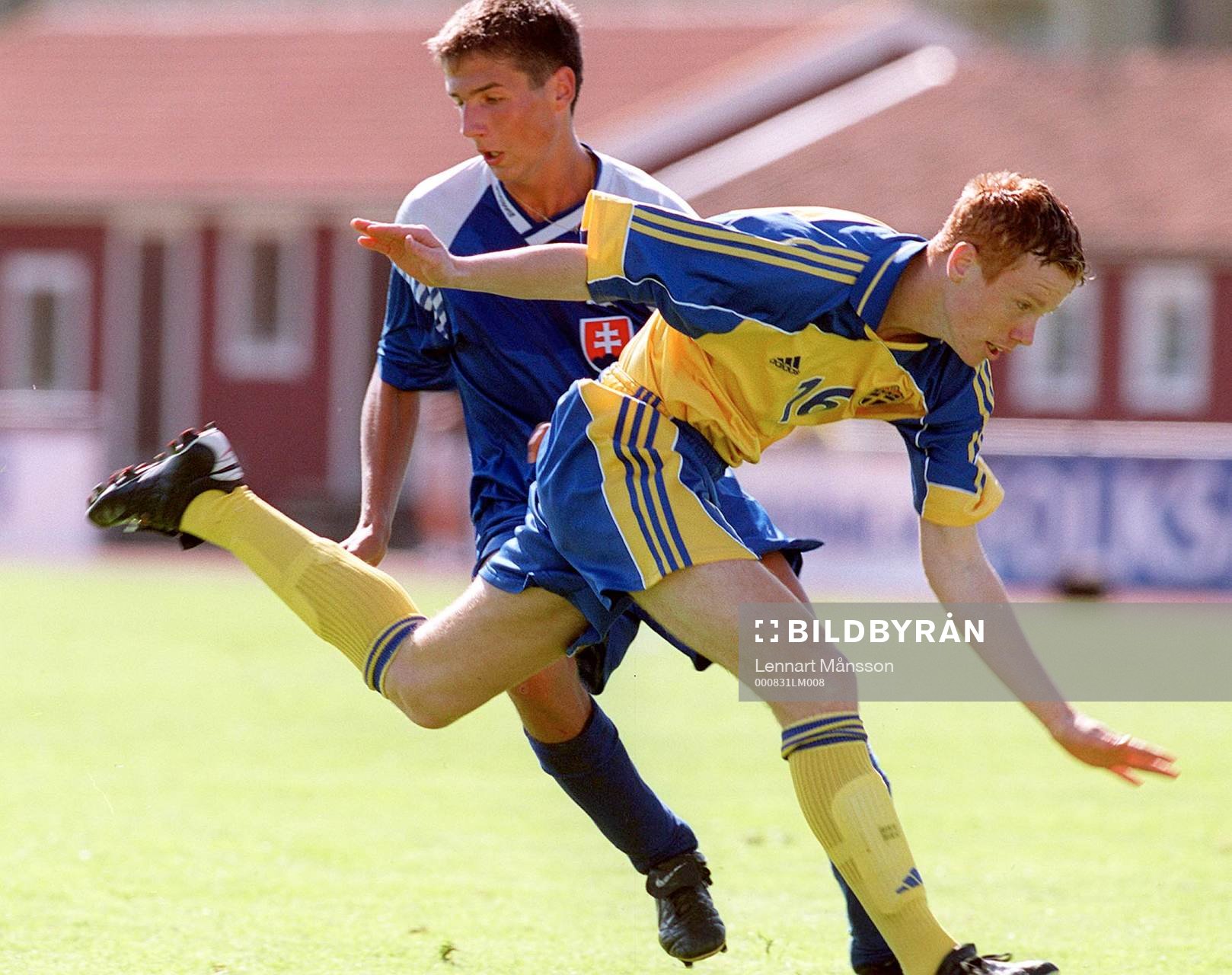Alexander Farnerud, Sverige