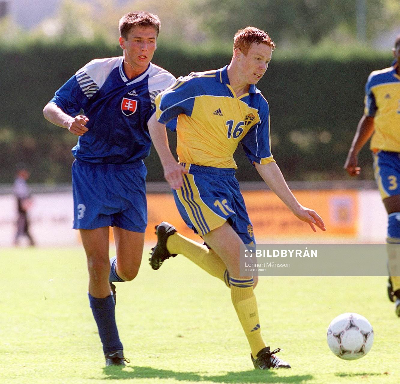 Alexander Farnerud, Sverige