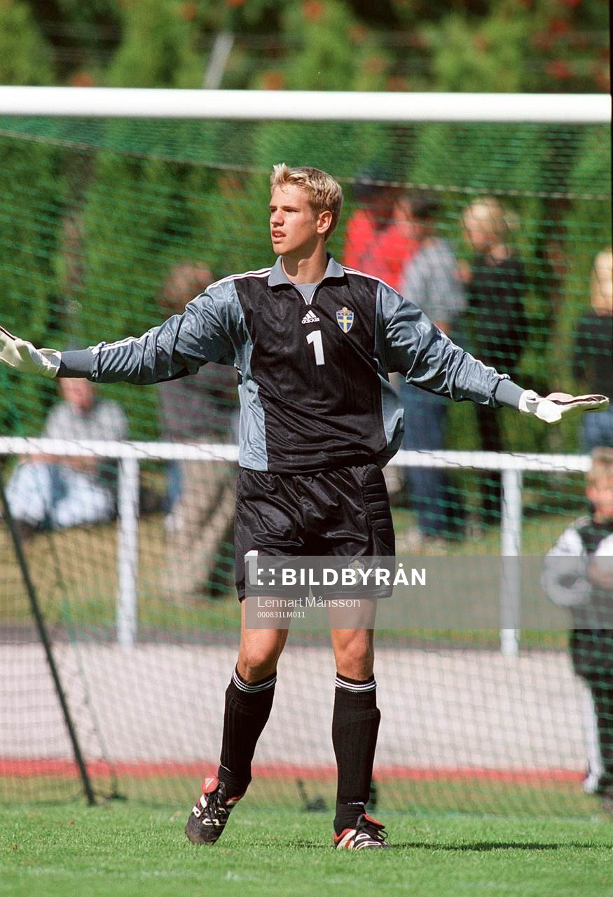 Oscar Berglund, Sverige