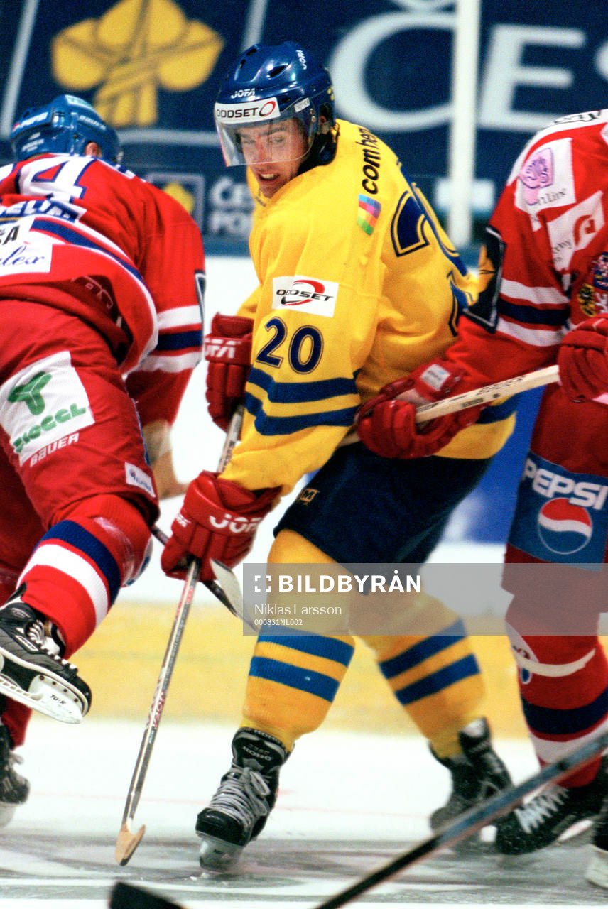 Henrik Zetterberg, Sverige