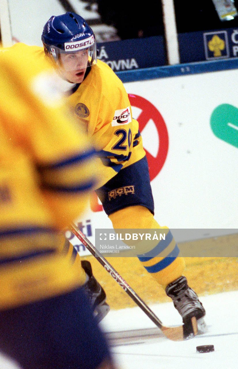 Henrik Zetterberg, Sverige