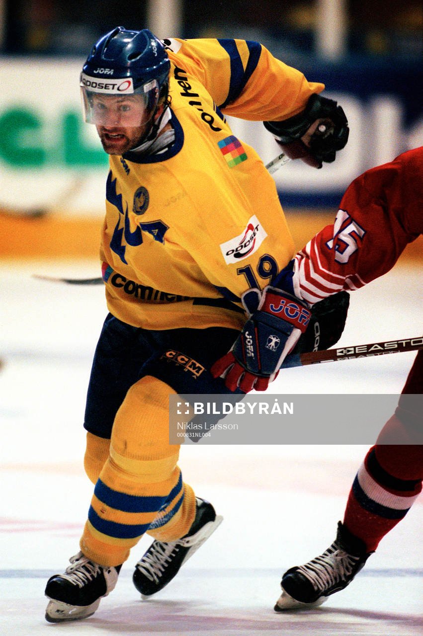 Mikael Renberg, Sverige