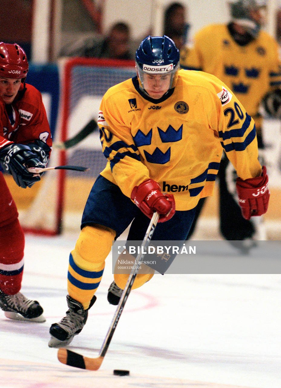 Henrik Zetterberg, Sverige