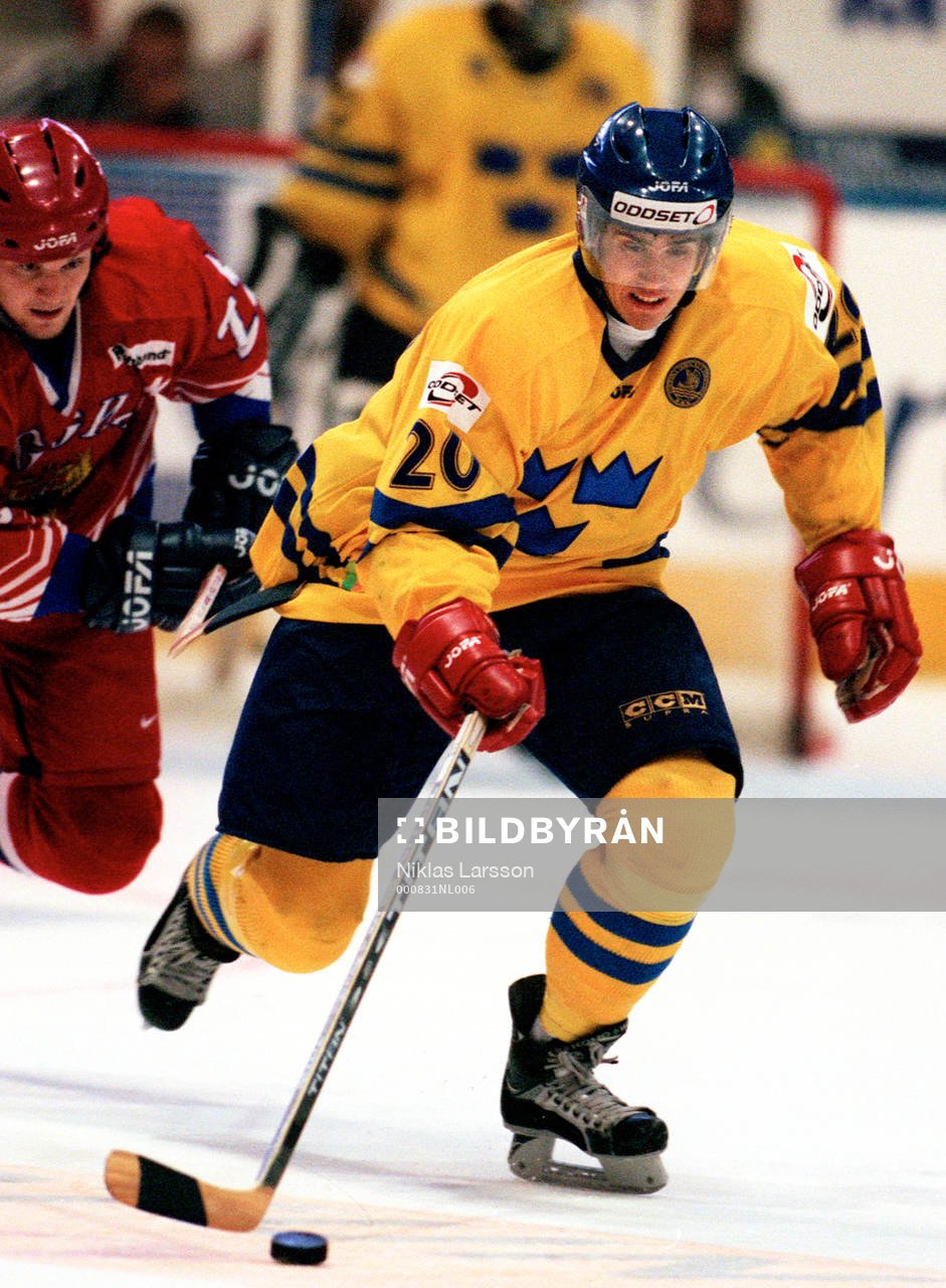 Henrik Zetterberg, Sverige