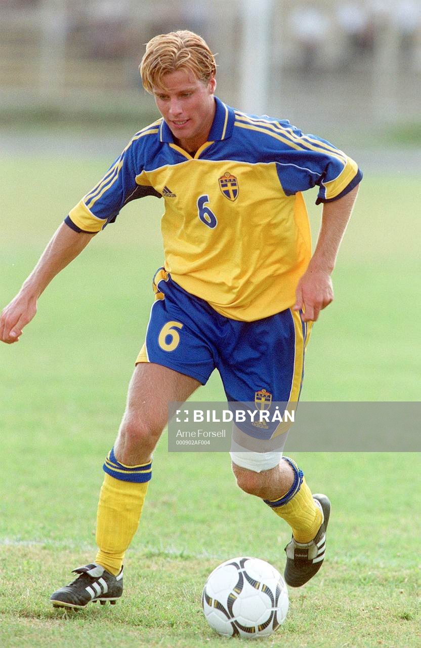 Pontus Farnerud, Sverige