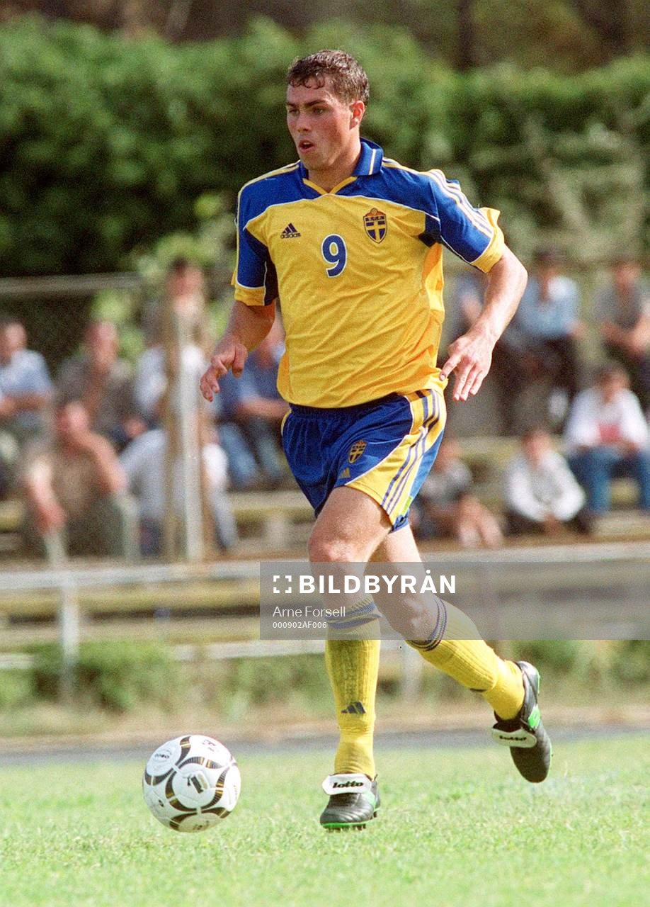 Johan Elmander, Sverige