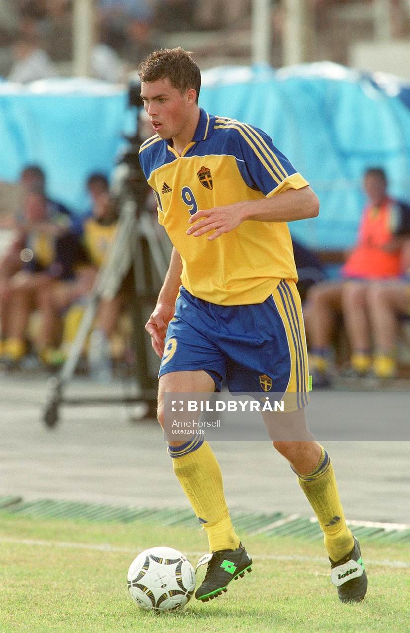 Johan Elmander, Sverige