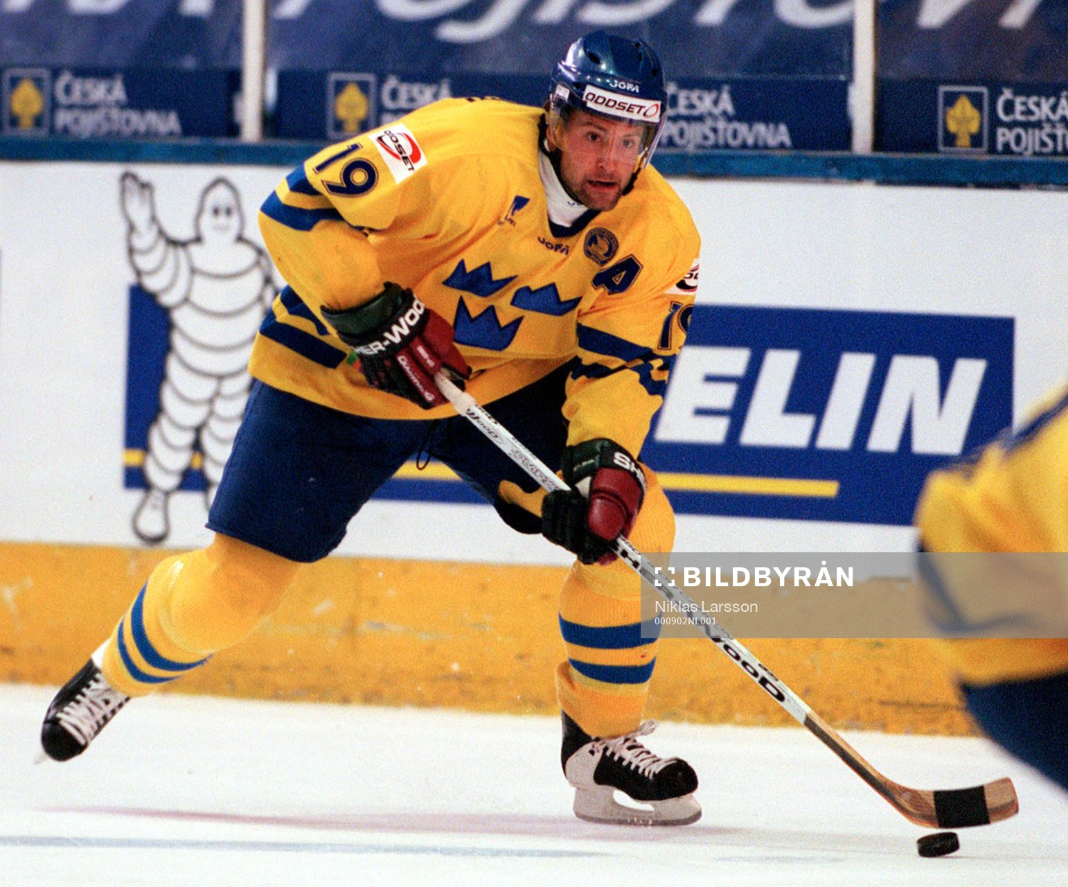 Mikael Renberg, Sverige