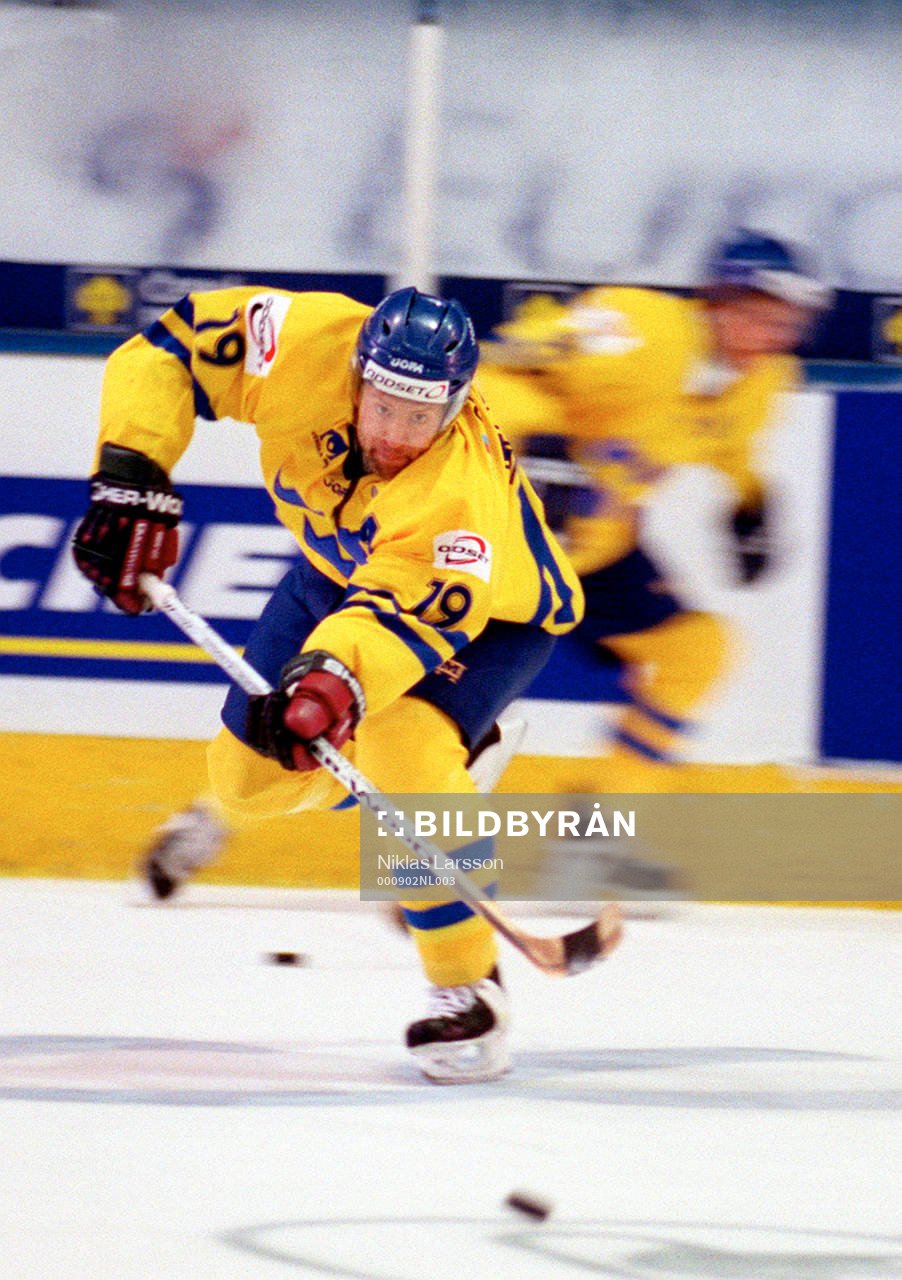 Mikael Renberg, Sverige