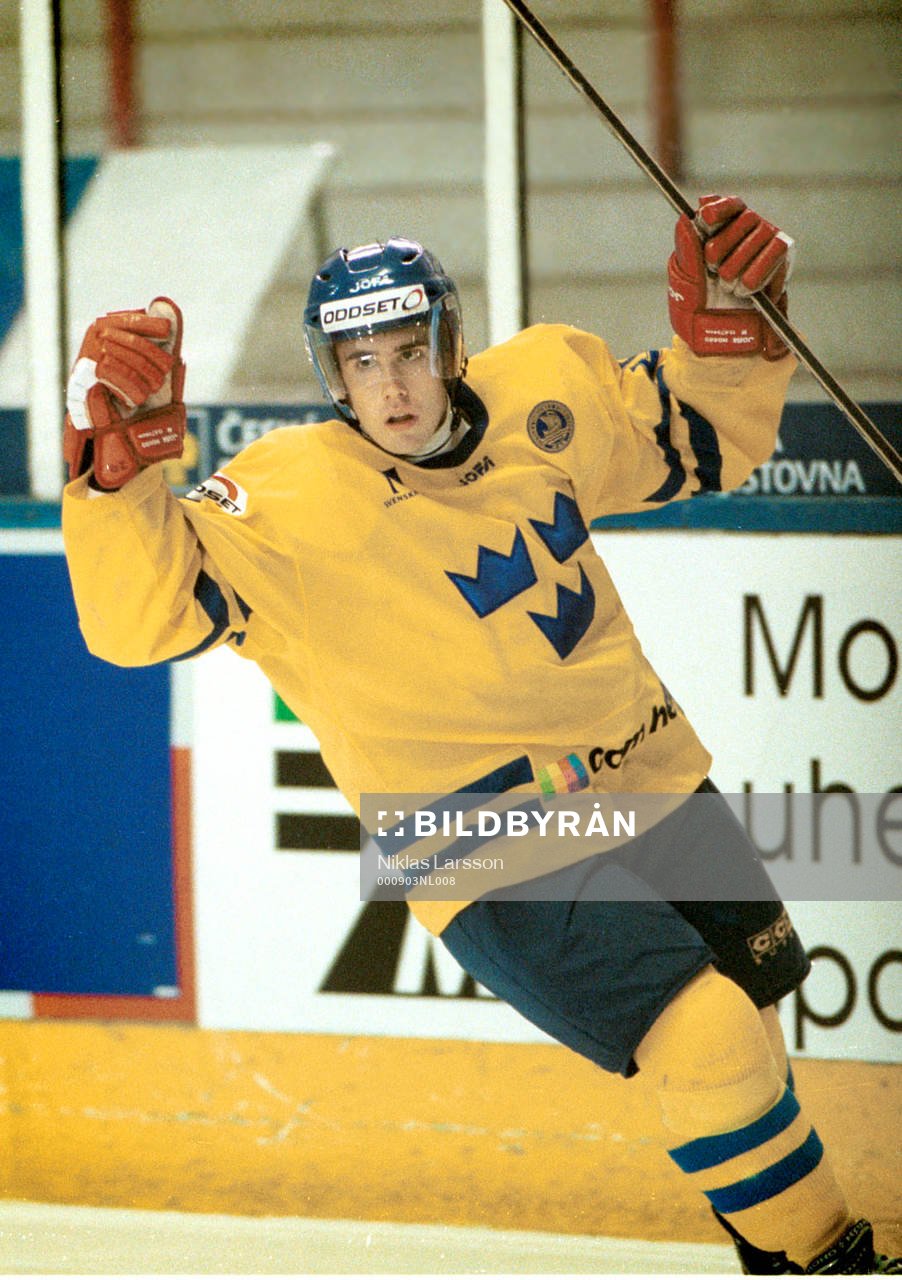 Henrik Zetterberg, Sverige