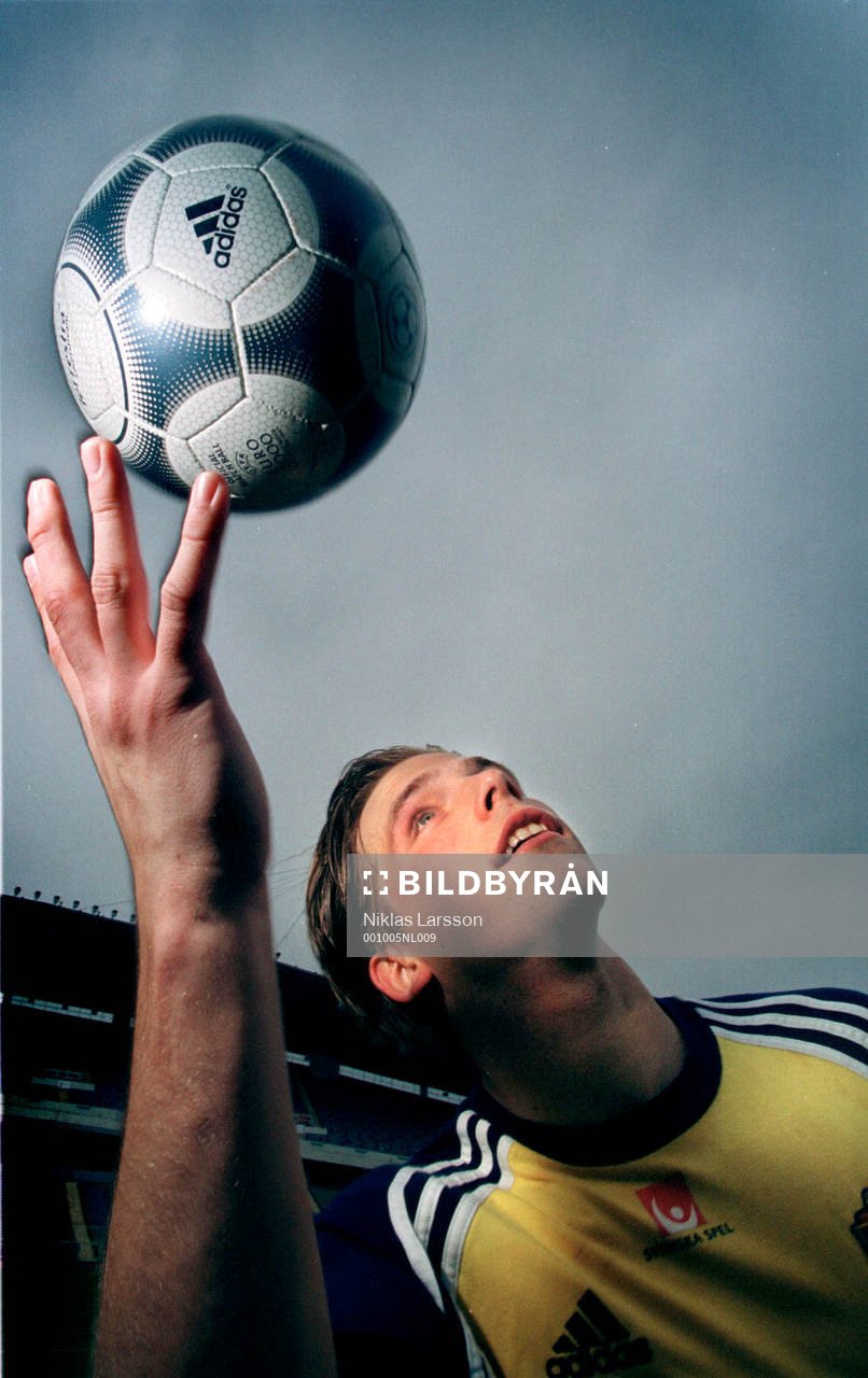 Anders Svensson, Sverige