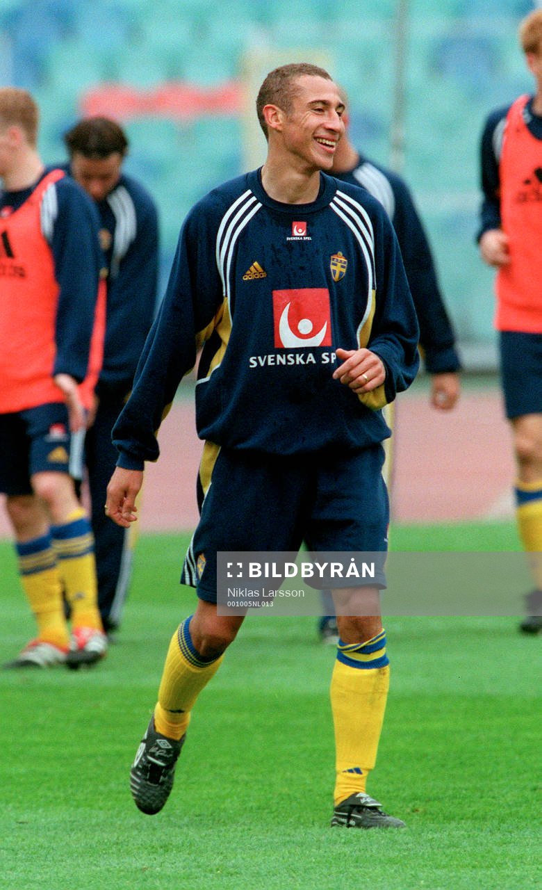 Henrik Larsson, Sverige